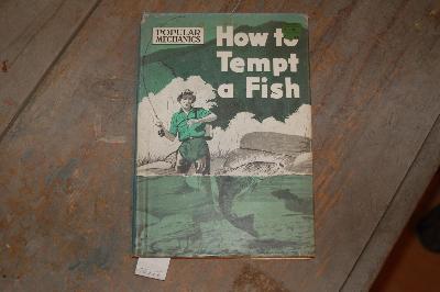 How+to+tempt+a+fish