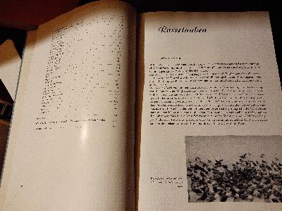 Das+Taubenbuch.+Rassetauben+und+Taubenrassen