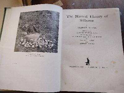 The+Natural+History+of+Selborne