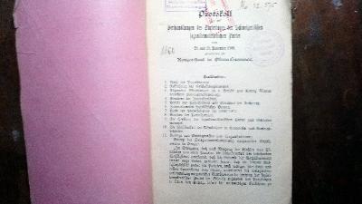 Protokoll+%C3%BCber+die+Verhandlungen+des+Parteitages+der+Schweizerischen+sozialdemokratischen+Partei+vom+28.+und+29.+November+1908+abgehalten+im+Konzertsaal+in+Olten+-+Hammer