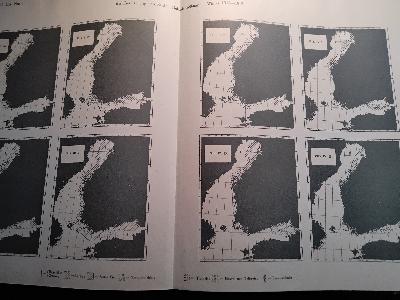 Jahrbuch+1913++enthaltend+Hydrographische+Beobachtungen+in+den+Finland+umgebenden+Meeren