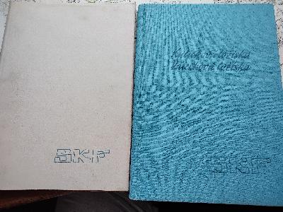 Kulickova+Loziska+Valeckova+Loziska+SKF++Katalog+556