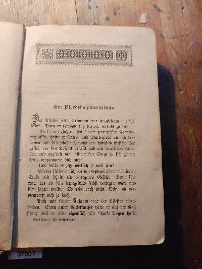Die+Geisterseher++Humoristischer+Roman