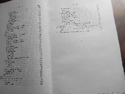 Die moderne Kunstfeuerwerkerei - Front Cover