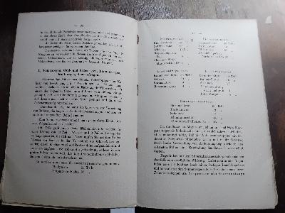 Die moderne Kunstfeuerwerkerei - Front Cover