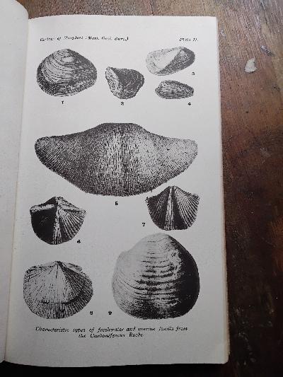 The Geology of the Maryport District - Front Cover