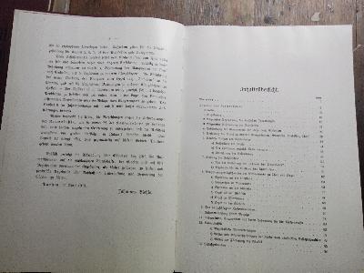 Theorie des Kirchenbaues vom Standpunkte des Kirchenmusikers und des Redners, mit einer Glockenkunde in ihrer Beziehung zum Kirchenbau - Front Cover