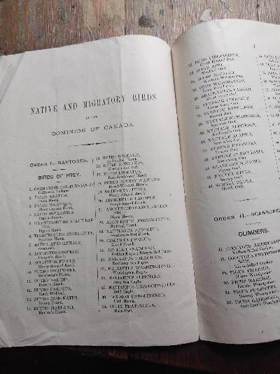 1776 U.S. Centennial Exhibition. 1876  Catalogue to illustrate the Animal Resources of the Dominion of Canada.  List of Fur-Bearing, usefull and injurious Animals and the Native and Migratory Birds - Front Cover