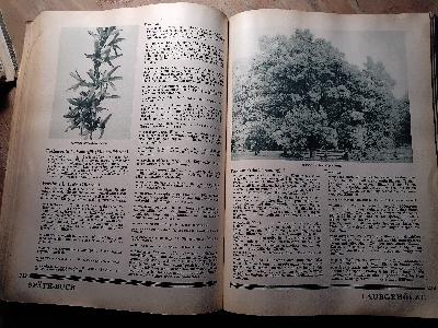 Späth - Buch 1720 - 1930 - Front Cover