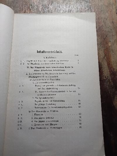 Die Pfandhaftung nach talmudischem Rechte - Front Cover