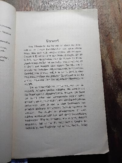 Die Pfandhaftung nach talmudischem Rechte - Front Cover
