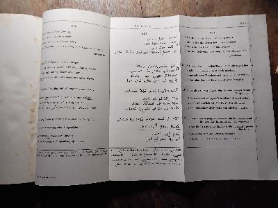Die älteste Textgestalt der Psalmen Salomos   insbesondere auf Grund der syrischen Übersetzung neu untersucht. Mit einer Bearbeitung und Übersetzung der Psalmen Salomos 13 - 17. - Front Cover
