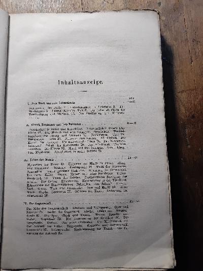 Die Musik des Neunzehnten Jahrhunderts und ihre Pflege  Methode der Musik - Front Cover