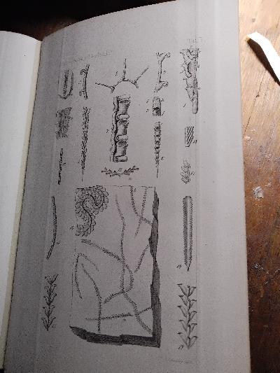 Zeitschrift der deutschen geologischen Gesellschaft 23. Band - Front Cover