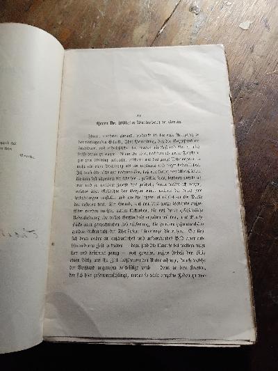 Piligrim von Passau und das Erzbisthum Lorch - Front Cover