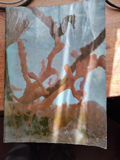 Jugoslavija  Heft 16 1958  inseln und taten - Front Cover