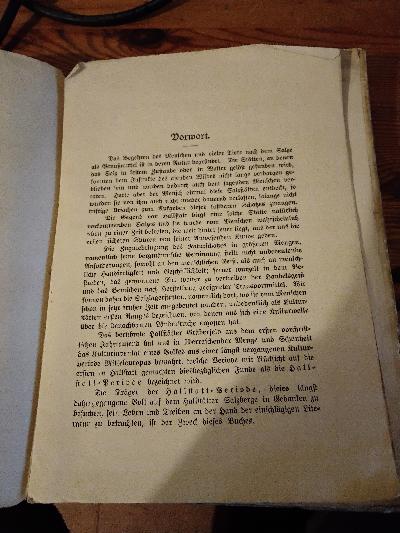 Hallstatt   Ein Kulturbild aus prähistorischer Zeit  - Front Cover