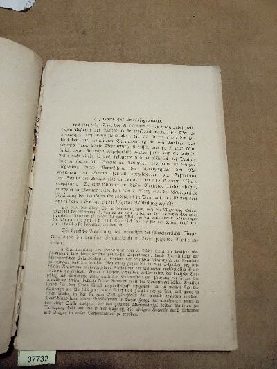 Das Zeugnis der 13 Tage - Front Cover