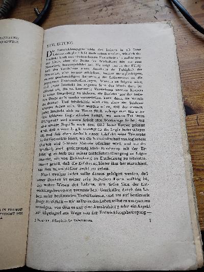 Schöpferische Entwicklung - Front Cover