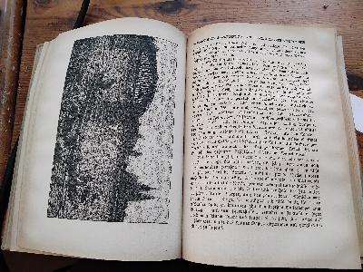 Die Rheinlande  Ein Heimatbuch - Front Cover