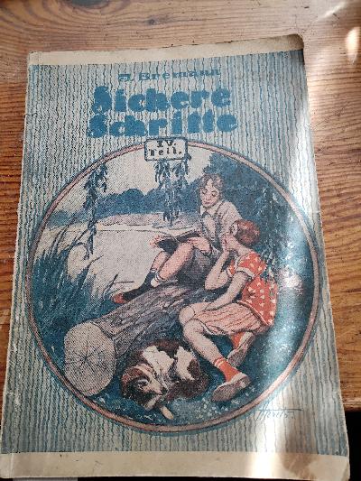 Sichere Schritte Deutsches Lesebuch IV. Teil  - Front Cover