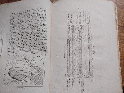 Erdgeschichtliche Entwicklung und geologische Verhältnisse der Gegend von Magdeburg - Front Cover