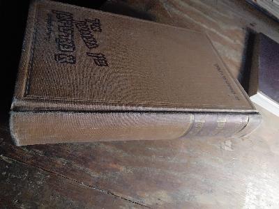 Ikh bin geven a partizan (Di grine legende) - Front Cover