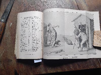 Rigaer Kalender auf das Jahr 1901 - Front Cover