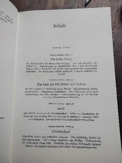 Jenseits der Gesetze  Kriminalität von den biblischen Anfängen bis zur Gegenwart - Front Cover