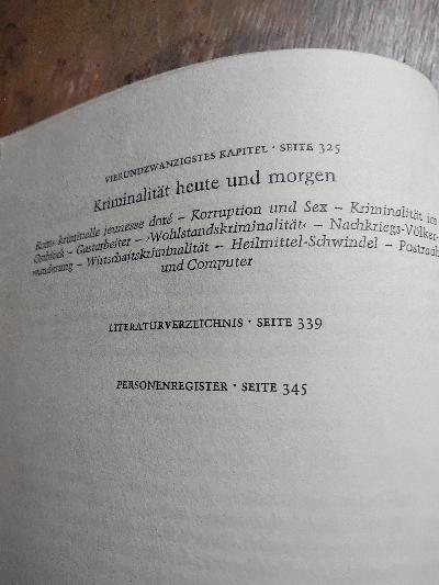 Jenseits der Gesetze  Kriminalität von den biblischen Anfängen bis zur Gegenwart - Front Cover