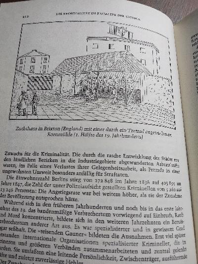 Jenseits der Gesetze  Kriminalität von den biblischen Anfängen bis zur Gegenwart - Front Cover