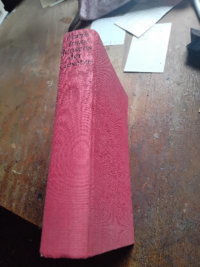 Jenseits der Gesetze  Kriminalität von den biblischen Anfängen bis zur Gegenwart - Front Cover