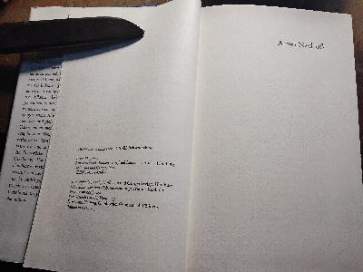 Arnes Nachlass  Roman - Front Cover