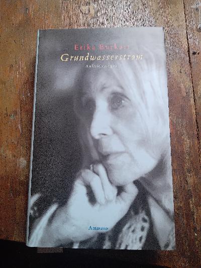 Grundwasserstrom – Aufzeichnungen - Front Cover