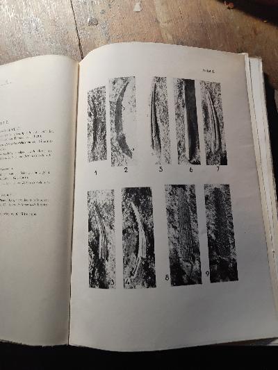 Tartu Ülikooli juures oleva Looduduuriate Seltsi Aruanded Toimetanud  Annales Societatis rebus naturae investigandis en Universitate Tartuensi Constitutae  46 - Front Cover