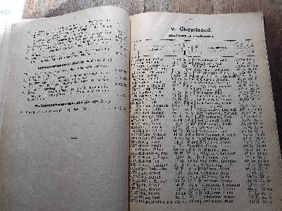 Eesti Vabariigi Tartu Ülikooli Isiklik Koosseis  1. Detsembril 1933  (Persönliche Zusammensetzung der Universität Tartu der Republik Estland im Jahr 1933) - Front Cover