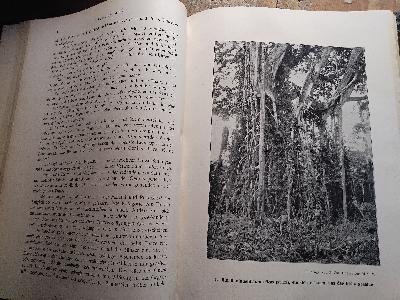 Anthropos Internationale Zeitschrift für Völker und Sprachenkunde  Band V Heft 1 - Front Cover