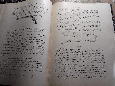 Anthropos Internationale Zeitschrift für Völker und Sprachenkunde  Band V Heft 5,6 - Front Cover