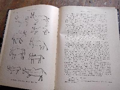 Anthropos Internationale Zeitschrift für Völker und Sprachenkunde  Band VI Heft 5 - Front Cover