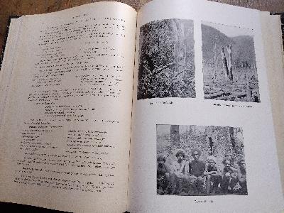 Anthropos Internationale Zeitschrift für Völker und Sprachenkunde  Band VI Heft 6 - Front Cover