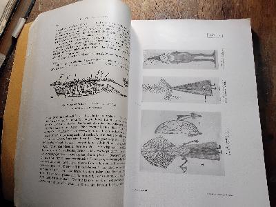 Anthropos Internationale Zeitschrift für Völker und Sprachenkunde  Band XXVIII  Heft 5,6 - Front Cover