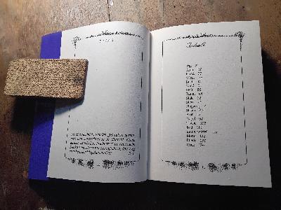 Märchenbriefe  Das Fabelland des Eises  Till und Hodscha - Front Cover