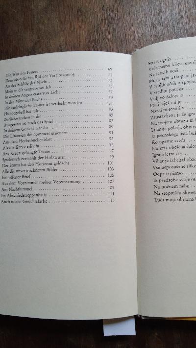 Der Kreis ist jetzt mein Fenster  Gedichte - Front Cover