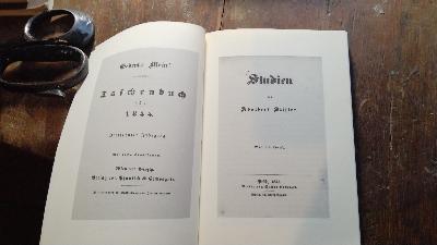  Brigitta   Novelle   Urfassung/ Studienfassung Wien und Leipzig 1844/ Pest 1847  - Front Cover