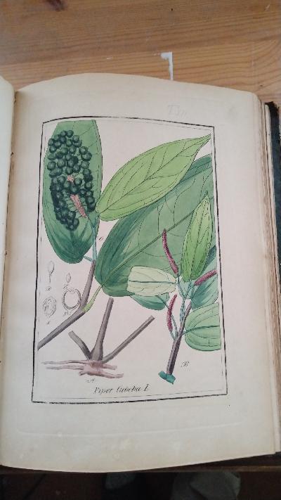 Abbildungen sämmtlicher Arzneigewächse Deutschlands, welche in die Pharmacopöen der grössern Deutschen Staaten aufgenommen sind   Tafelband mit 270  colorierten Tafeln - Front Cover