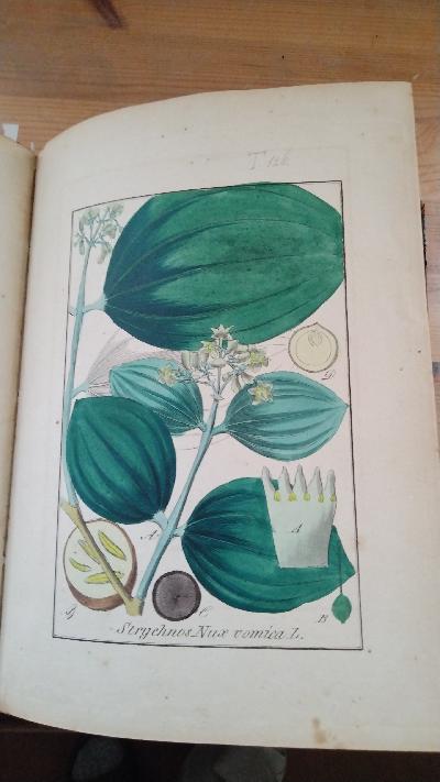 Abbildungen sämmtlicher Arzneigewächse Deutschlands, welche in die Pharmacopöen der grössern Deutschen Staaten aufgenommen sind   Tafelband mit 270  colorierten Tafeln - Front Cover