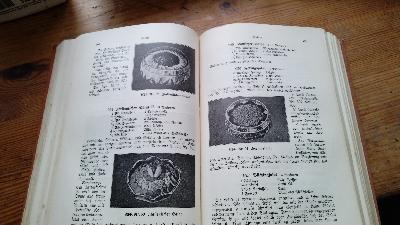 Die Führung der bürgerlichen und feinen Küche mit Berücksichtigung der neuzeitlichen Ernährung und Krankenernährung. - Front Cover