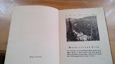 Vom grünen Rauschen  Ein Buch vom Oberharz - Front Cover