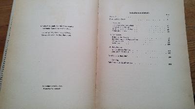 Wasser oder Öl  Ein Buch über den Nahen Osten - Front Cover