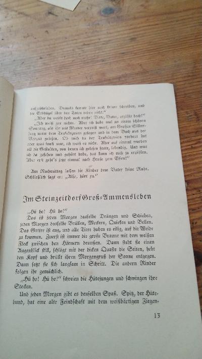 Vor fünftausend Jahren in einem Bördedorf   Eine Geschichte aus der jüngeren Steinzeit - Front Cover